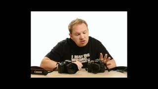 Nikon D90 vs Canon T2i What Should I Buy [upl. by Fitzger915]