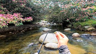 lluvia de peces  señuelo MORTAL para pescar sabaletas [upl. by Lyreb]