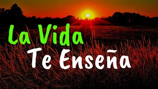 Cosas Que La Vida Nos Enseña ¦ Gratitud Frases Reflexiones Versos Reflexión Amor Propio [upl. by Nandor]