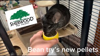 Chinchilla food UNBOXING from Sherwood Pet Health [upl. by Anwahsar]