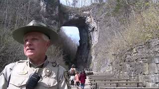 Natural Bridge State Park is hiring 77 rangers for busy summer season [upl. by Ellehcirt]