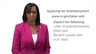 Filing for Unemployment [upl. by Silverts]