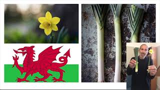 St Davids Day KS1 [upl. by Gokey]