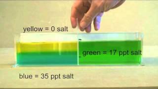 Ocean stratification demonstration salinity and temperature [upl. by Gough]