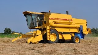 New Holland TX36  graszaad dorsen [upl. by Monaco]