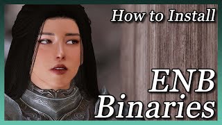 Skyrim  How to Install ENB Binaries Updated 2020 [upl. by Noinatrad]