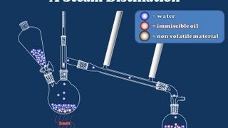 How Steam Distillation Works [upl. by Amalee]