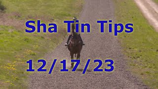 🏇Hong Kong Horse Racing Tips 12172023  Sha Tin [upl. by Sairu798]