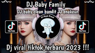 DJ CLEAN BANDIT BABY FAMILY REMIX  DJ VIRAL TIKTOK [upl. by Merow]