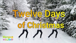 twelve days of christmas  christmas music [upl. by Ailin]