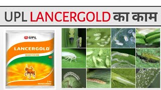 Acephate UPL Lancer gold imidacloprid  Advance agriculture [upl. by Lily]