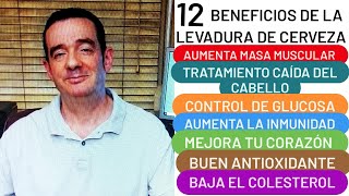 12 BENEFICIOS DE LA LEVADURA DE CERVEZA AUMENTA MÚSCULO MEJORA EL CORAZÓN Y EL CABELLO ANTIOXIDANTE [upl. by Siuol]