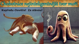 Chobotnice nejinteligentnější tvor moří [upl. by Eetsirhc]