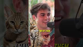 Thomas Petrou Spent 40000 on 2 Exotic Cats [upl. by Semaj]