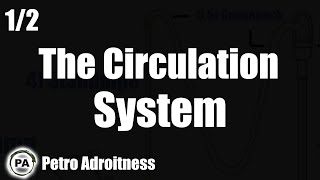 The Circulation System 12  Drilling Engineering 09 [upl. by Doomham]