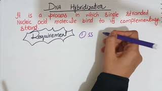 DNA hybridizationDNA annealing processFull explaination in Hindi molecularbiology [upl. by Ibba]