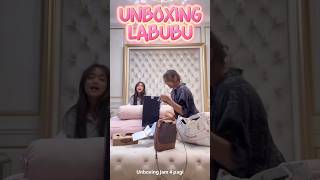 FUJI UNBOXING LABUBU fuji fujian thofu gala galasky [upl. by Gabey]