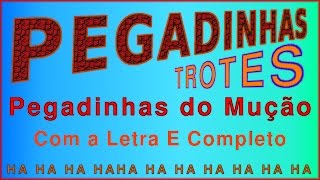 Pegadinha Trote do Mução Letra E Completo [upl. by Bethezel]