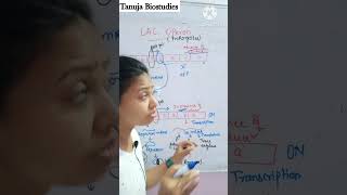 Ch6  LAC Operon  Gene Regulation in Prokaryotes  Class 12 BiologyNEET  shorts [upl. by Llenej]