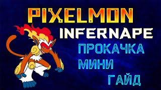 PIXELMON  1122  Как прокачать Infernape Прокачать Инфернейпа майнкрафт [upl. by Latoyia]