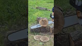 Stihl MS 400 CM vs DRY oak stihl firewood asmr satisfying chainsawman viral shorts [upl. by Valeda]