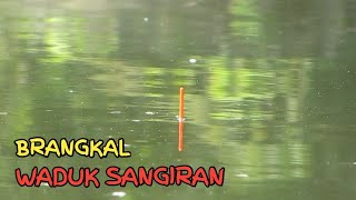 Spot BRANGKAL Ikan Gemuk Gemuk  Waduk SANGIRAN [upl. by Xel]