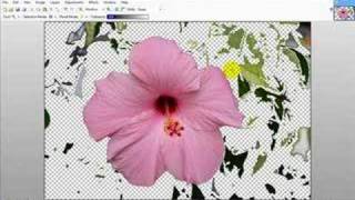 PaintNET Basics  Removing background in Paint NET [upl. by Micro]