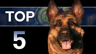 Fallout 4  Top 5 Dogmeat Facts Companion Lore [upl. by Alfeus]