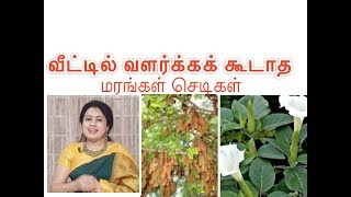 வீட்டில் எல்லா மரங்களும்செடிகளும் வளர்க்கலாம்Grow plants and treesஅனிதா குப்புசாமிAnitha Kuppus [upl. by Minabe]