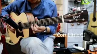 Cort Little CJ vs Taylor GS Mini  3x the price difference is 3x better [upl. by Swithin]