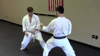 Rick Hotton Karate Seminar 07 [upl. by Varion]