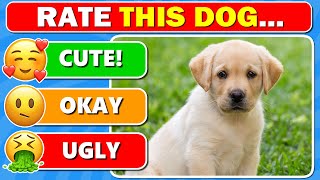 Dog Tier List 🐶 Rate the TOP 51 DOG BREEDS 🐕🐾 [upl. by Flowers]