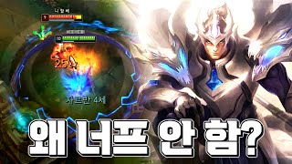 왜 너프 안 하는지 아직도 의문라이엇 일 안 함 [upl. by Acassej]