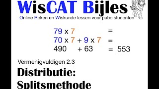 Splitsmethode  WisCAT Werkboek Vermenigvuldigen 23 [upl. by Kayle]