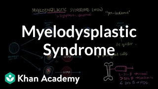 Myelodysplastic syndrome  Hematologic System Diseases  NCLEXRN  Khan Academy [upl. by Salina]