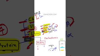 Lipoprotein Biochemistry enmeder [upl. by Allenrac883]