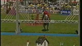 CLINTON I Holstein stallion at Falserbo Derby by wwwequineevolutioncom [upl. by Eelsel]