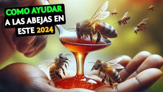 Como Empezar en La Apicultura 2024 El Año para Salvar a las Abejas y Nuestro Futuro 🐝 [upl. by Ennovahs433]