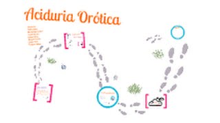 ACIDURIA ORÓTICA [upl. by Michel130]