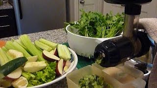 Beautifying Green Juice Recipe [upl. by Delaney]