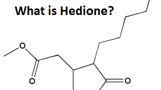 DIOR PART 2 What is Hedione [upl. by Trude]