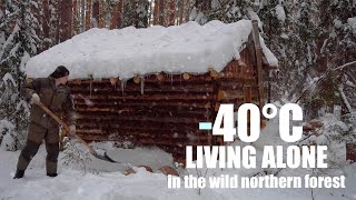 SURVIVE THE WINTER IN A SMALL COZY LOG CABINDocumentary [upl. by Anitsugua]