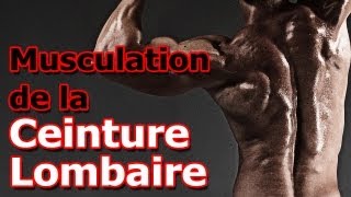 Exercice de Musculation de la Ceinture Lombaire [upl. by Yrdua]