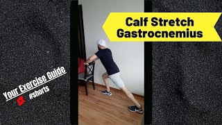 How to STRETCH GASTROCNEMIUS  Calf stretch shorts calfstretch exercise fitness physicaltherapy [upl. by Murphy]