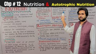 Chapter 12  Nutrition  Autotrophic nutrition 11th Class Biology vision academy [upl. by Wileen206]