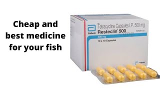 Tetracycline 500 mg  for common diseases in aquarium fish [upl. by Airbmak]