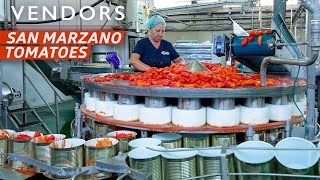 How a Tomato Factory Produces and Cans Over 2 Million Pounds a Year— Vendors [upl. by Otrebire]