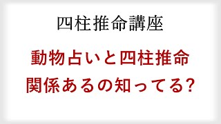 動物占いと四柱推命の関係。動物占いは当たる占いって本当？ [upl. by Highams484]