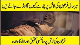 Latest Scientific Research On Body of Firon In Urdu Hindi [upl. by Gaulin]