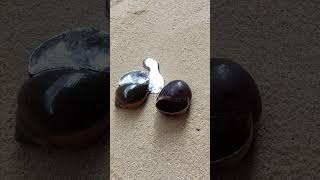 Casting Melting Aluminum into Shell Restoration shorts viralvideo reels [upl. by Davina]